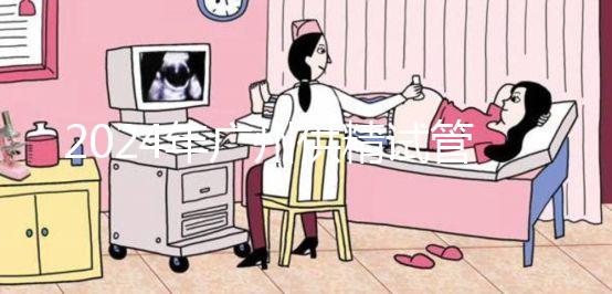 2024年廣州供精試管嬰兒最新價格表，必須符合要求