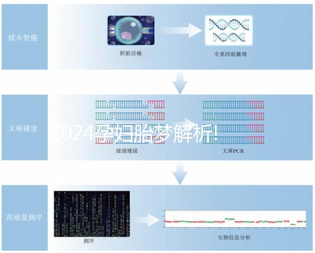 2024孕婦胎夢(mèng)解析!盤點(diǎn)那些生男孩的胎夢(mèng)
