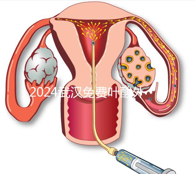 2024武漢免費葉酸外國人可以領取，符合條件就來江漢區