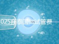 2025在泰國做試管費用預估，助孕一次不到10萬