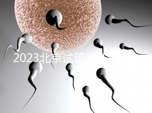 2023北京試管嬰兒醫(yī)院大全，助孕成功率排名前十公布