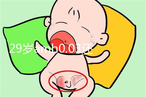 29歲amh0.03還能做試管嬰兒嗎？能否取到卵是懷孕關鍵