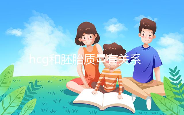 hcg和胚胎質量有關系？hcg低并不一定是胚胎不好！
