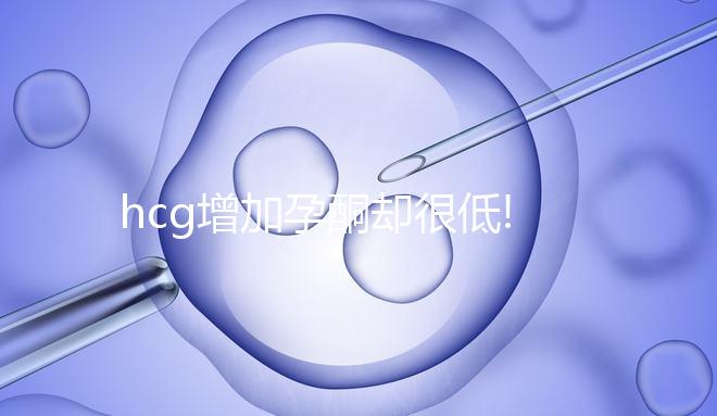 hcg增加孕酮卻很低!準(zhǔn)媽媽們吃這些食物補(bǔ)得快