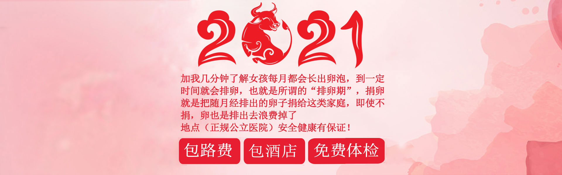 內(nèi)容頁(yè)橫幅